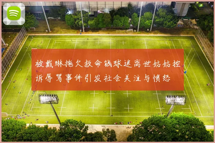 被戴琳拖欠救命钱球迷离世姑姑控诉辱骂事件引发社会关注与愤怒